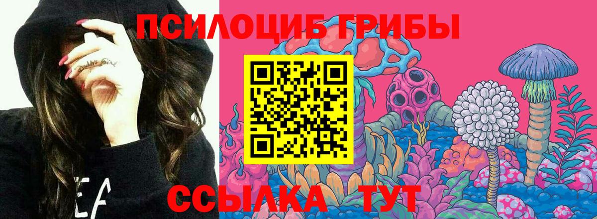 Псилоцибиновые грибы прущие грибы  Вход с VPN  Медногорск  Галлюциногенные грибы ЛСД 
