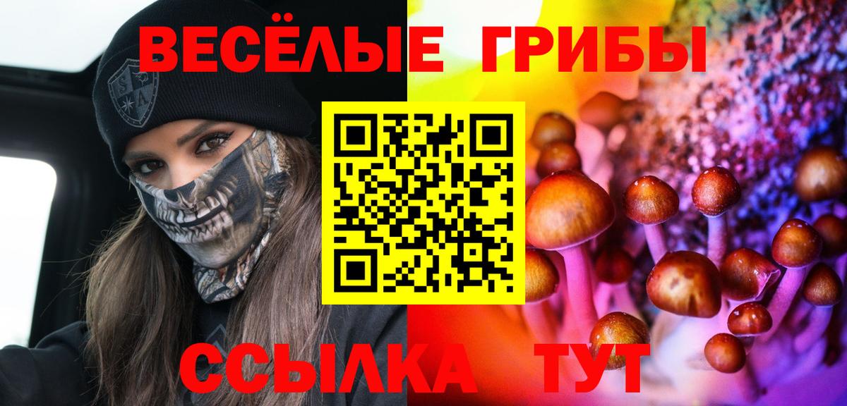 Галлюциногенные грибы Magic Shrooms Медногорск